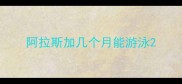 阿拉斯加几个月能游泳