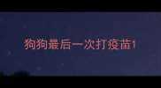 狗狗最后一次打疫苗