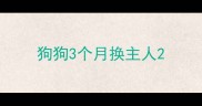 狗狗3个月换主人
