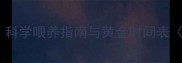 小泰迪一天喂几次正常科学喂养指南与黄金时间表附喂食量与注意事项