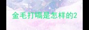 金毛打嗝是怎样的