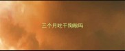 三个月吃干狗粮吗