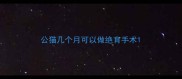 公猫几个月可以做绝育手术