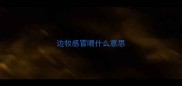 边牧感冒喂什么意思