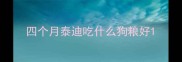 四个月泰迪吃什么狗粮好