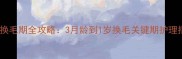 金毛换毛期全攻略3月龄到1岁换毛关键期护理指南