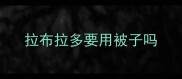 拉布拉多要用被子吗
