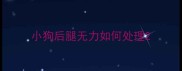 小狗后腿无力如何处理