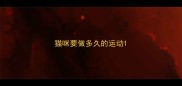 猫咪要做多久的运动