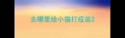 去哪里给小猫打疫苗