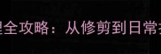 金毛犬毛发护理全攻略从修剪到日常打理的实用技巧