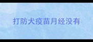 打防犬疫苗月经没有
