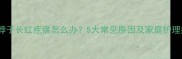 小狗脖子长红疙瘩怎么办5大常见原因及家庭护理指南