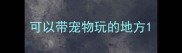 可以带宠物玩的地方