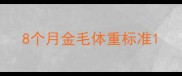 8个月金毛体重标准