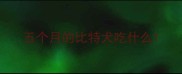 五个月的比特犬吃什么