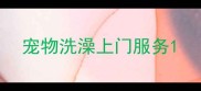 宠物洗澡上门服务