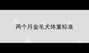 两个月金毛犬体重标准