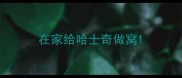 在家给哈士奇做窝