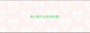哈士奇什么样的好看