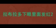 拉布拉多下眼里面发红