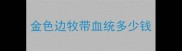 金色边牧带血统多少钱