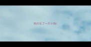 狗只生了一只小狗