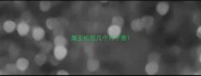魔王松鼠几个月下崽