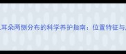 哈士奇幼崽耳朵两侧分布的科学养护指南位置特征与成长护理全