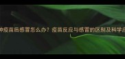 狗狗接种疫苗后感冒怎么办疫苗反应与感冒的区别及科学应对指南