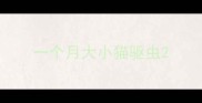 一个月大小猫驱虫