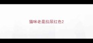 猫咪老是拉尿红色