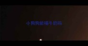 小狗狗能喝牛奶吗