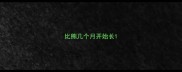 比熊几个月开始长