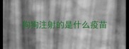 狗狗注射的是什么疫苗