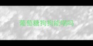 葡萄糖狗狗能喝吗