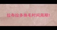 拉布拉多换毛时间周期
