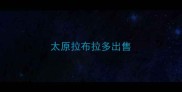 太原拉布拉多出售