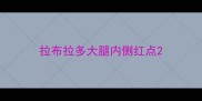 拉布拉多大腿内侧红点