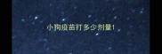 小狗疫苗打多少剂量