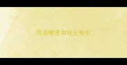 西安哪里有哈士奇卖