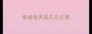 泰迪每天尿几次正常
