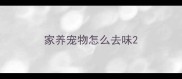 家养宠物怎么去味