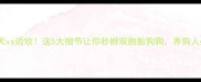蝴蝶犬vs边牧这5大细节让你秒辨双胞胎狗狗养狗人必看