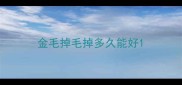 金毛掉毛掉多久能好