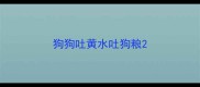 狗狗吐黄水吐狗粮