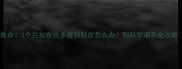 救命3个月拉布拉多瘦到脱皮怎么办附科学喂养全攻略