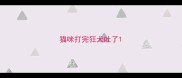 猫咪打完狂犬吐了