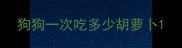 狗狗一次吃多少胡萝卜