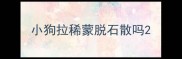 小狗拉稀蒙脱石散吗